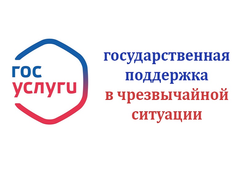 Государственная поддержка  в чрезвычайной ситуации.