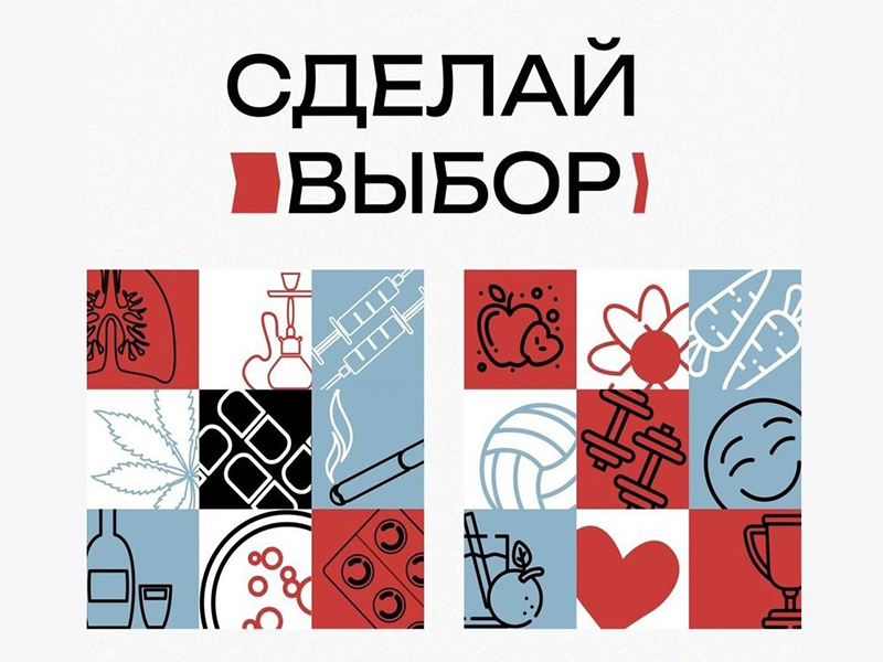 В Красноярском крае начался конкурс «Сделай выбор».