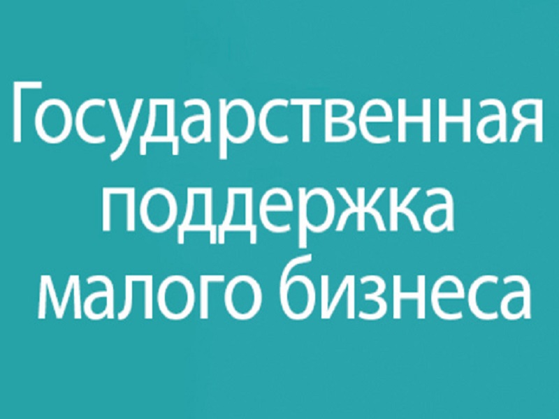 В 2024 году на развитие малого и среднего предпринимательства направят 220 млн рублей.