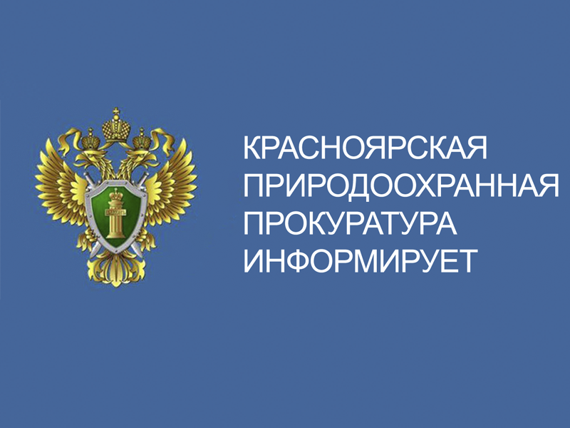 Красноярская природоохранная прокуратуру информирует.