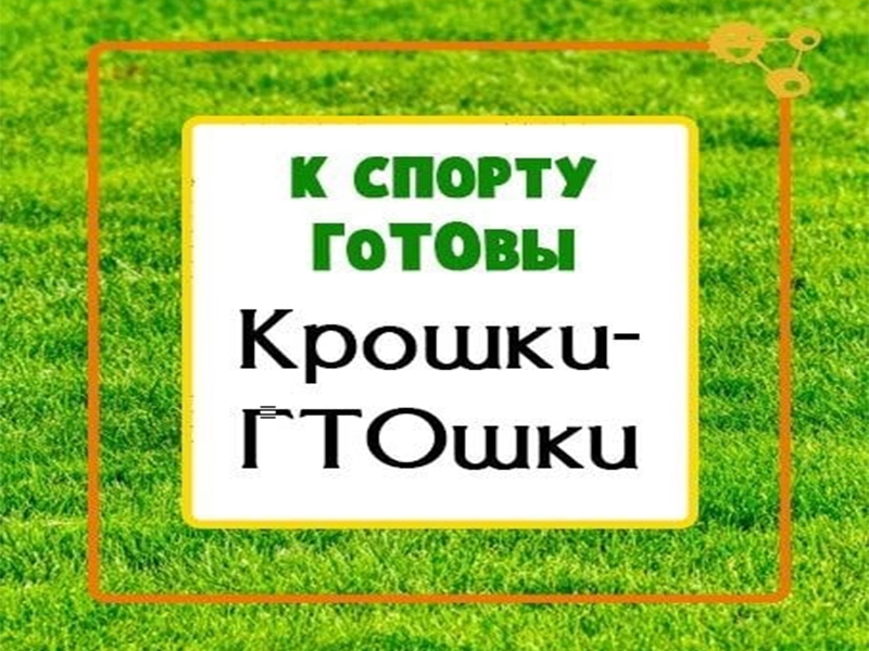 Подведены итоги Фестиваля ГТО «Крошка ГТОшка».