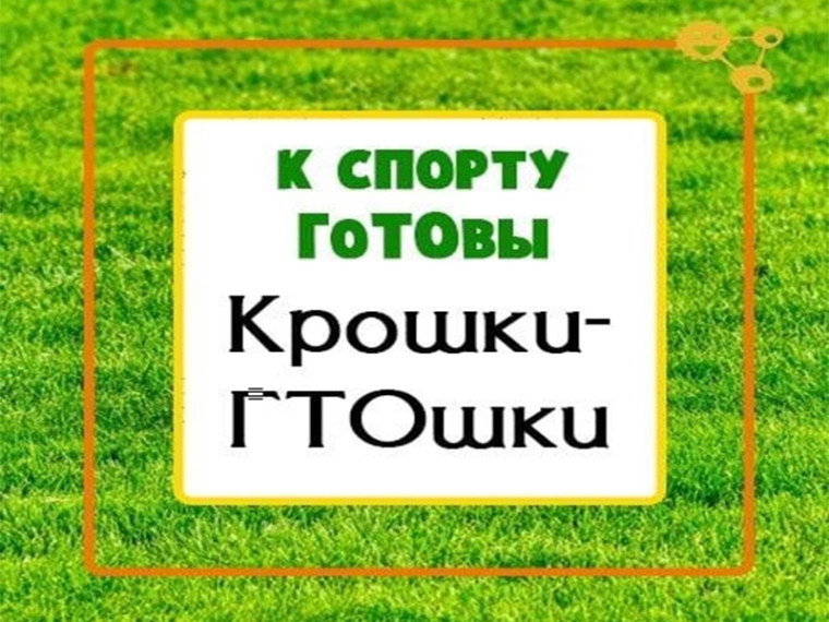 Подведены итоги Фестиваля ГТО «Крошка ГТОшка». Подведены итоги Фестиваля ГТО «Крошка ГТОшка».